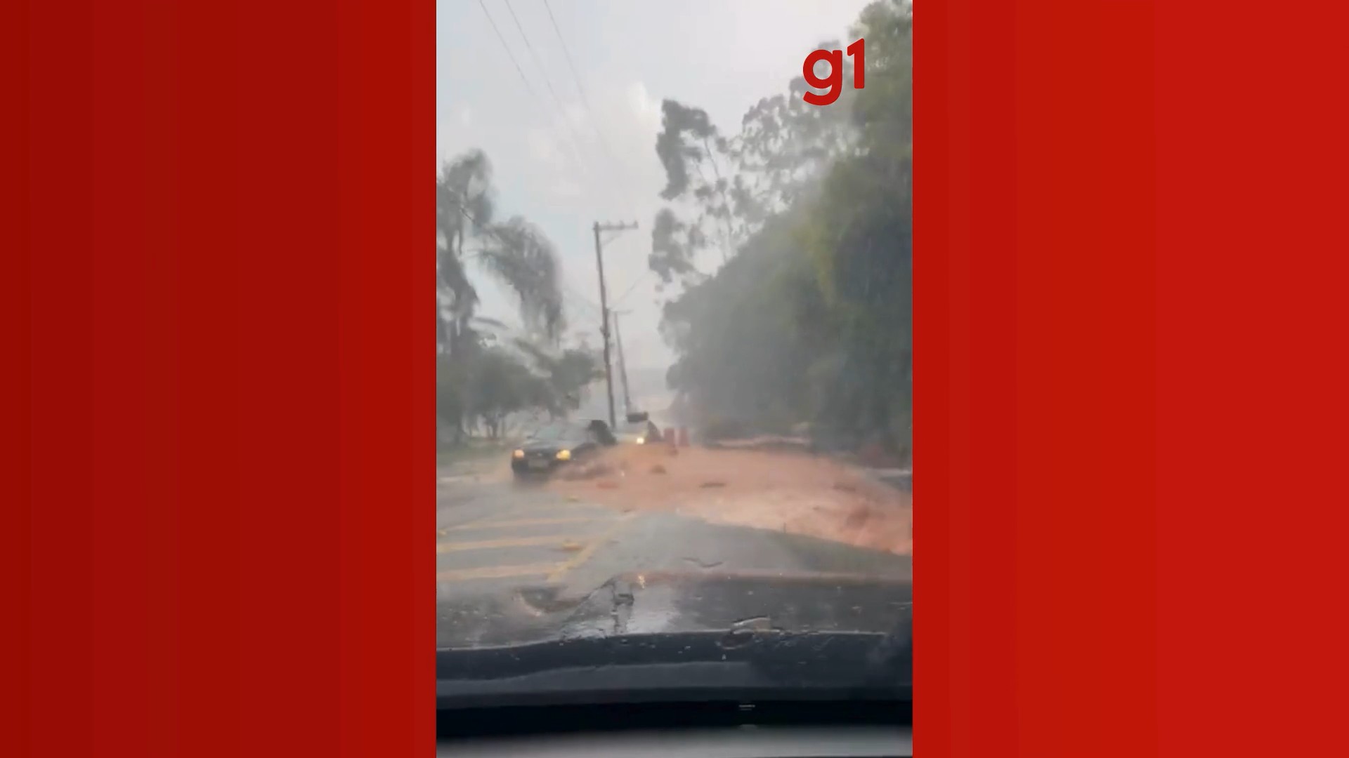 foto Not&iacute;cia Jacareí