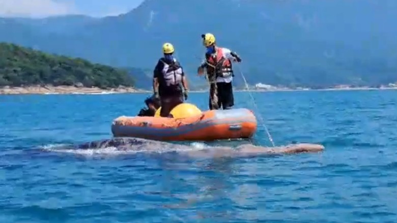 foto Not&iacute;cia Jacareí