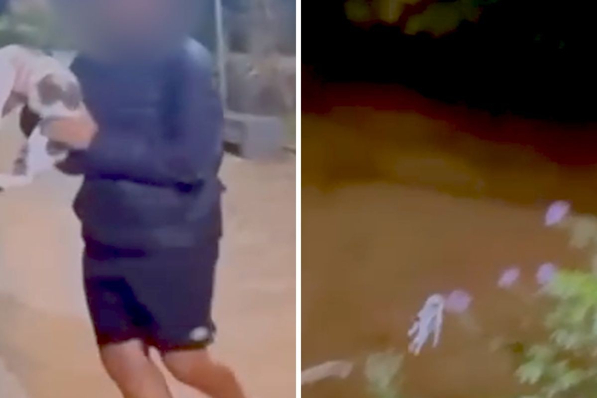 foto Not&iacute;cia Jacareí